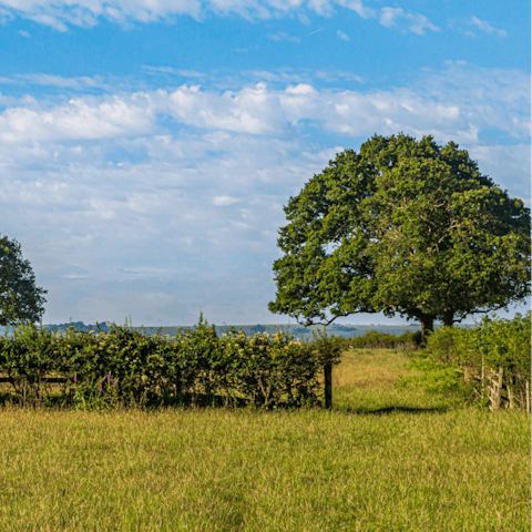Get out and about, on bikes or on foot, in the Somerset countryside
