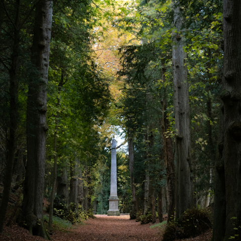 Enjoy a country walk at Tring Park Woodland, a twenty-minute drive away