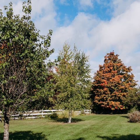 Explore the ranch's ten acres of lush, green land