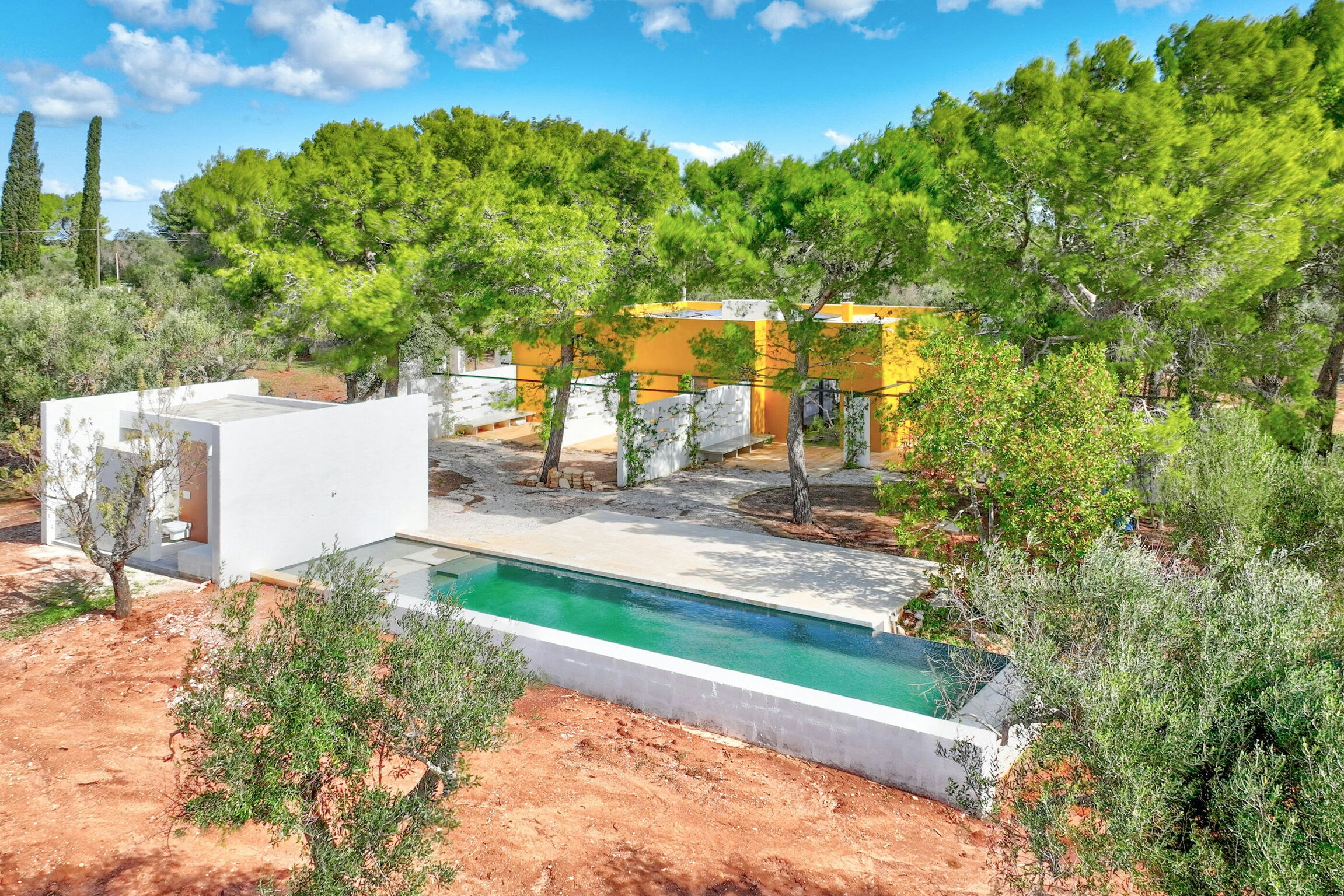 The Olive Essentials