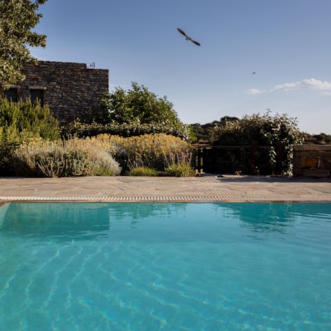Start the morning with a swim in the crystal-clear pool