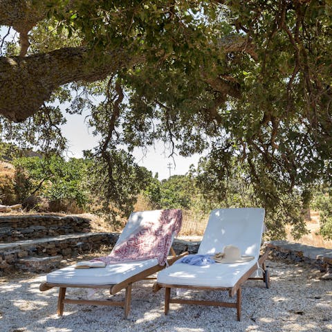 Lounge under the shady oak tree with a good book