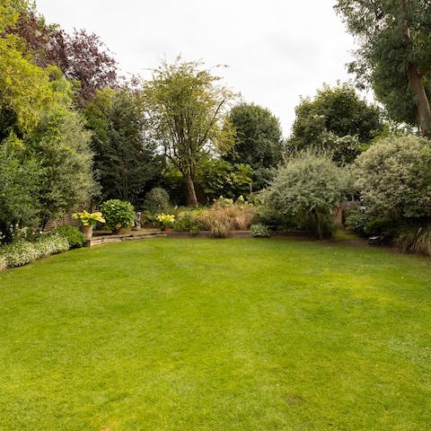 Get the family together for lawn games