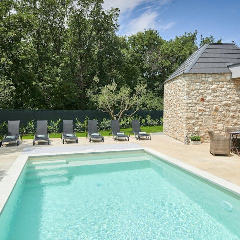 Relax in the Istrian sun by the private pool
