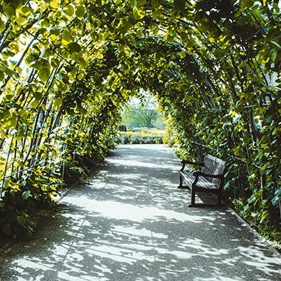 Head to nearby Queen's Park for a stroll in the fresh air