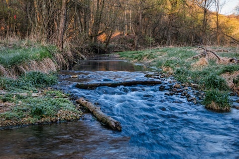Spend the day skiing, hiking, or mountain biking at nearby Beaver Creek Resort