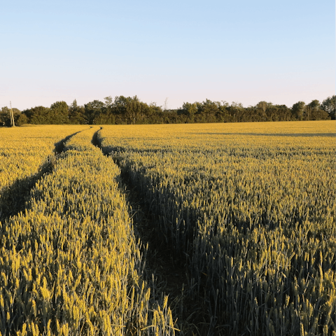 Head out and explore the beautiful Suffolk countryside