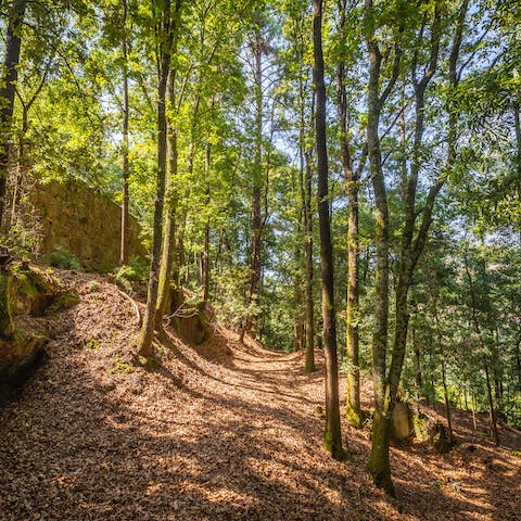 Explore the home's expansive gardens and the surrounding woodland
