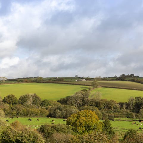 Put on your hiking boots and explore the surrounding countryside
