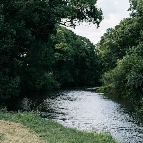 Enjoy a picnic on the banks of the Wilson River