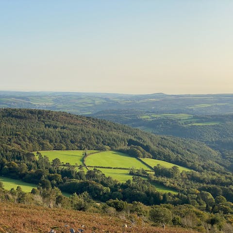 Take a day trip to Dartmoor National Park, just a twenty-eight-minute drive away