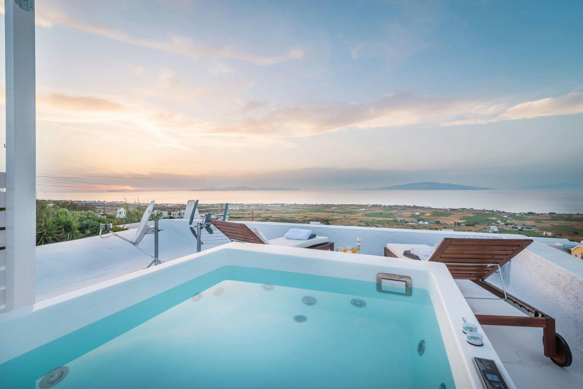 Everlasting Sweetpeas