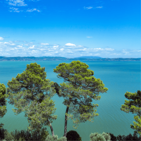 Spend a day exploring nearby Parco Regionale del Lago Trasimeno