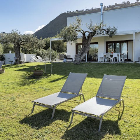 Soak up some vitamin D from the sun loungers