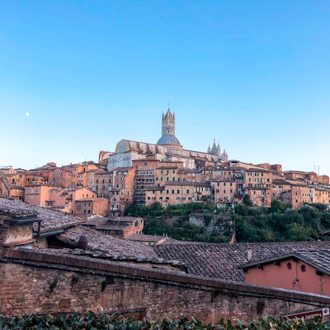 Spend the day exploring Siena, just 24km away