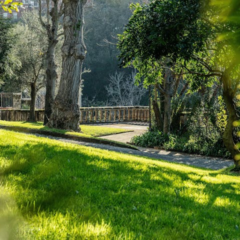 Explore the Mediterranean park and its walking paths