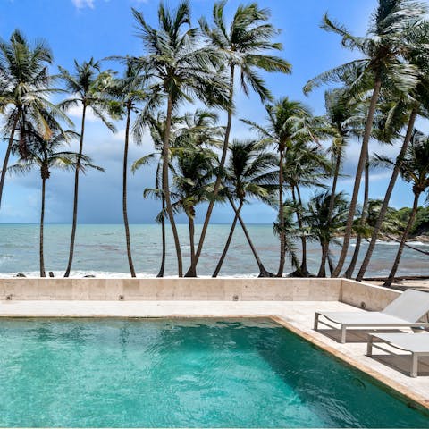 Lounge by the pool with palms rustling overhead