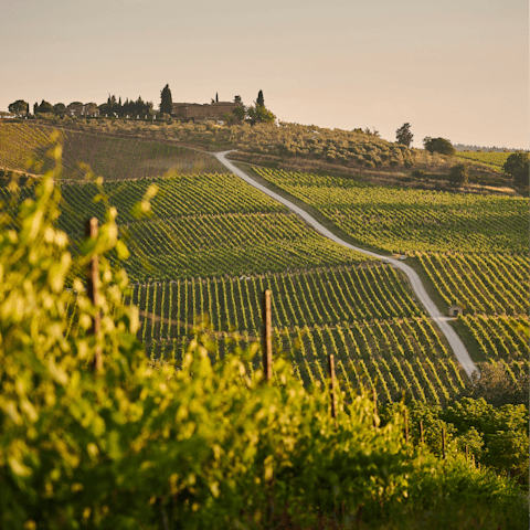 Stay in the heart of rural Tuscany, surrounded by rolling hills