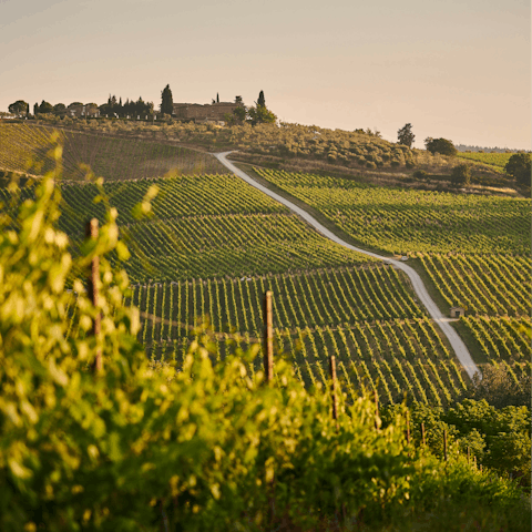 Stay in the heart of rural Tuscany, surrounded by rolling hills