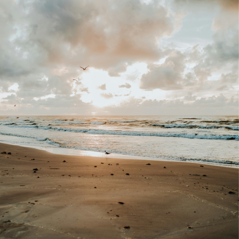 Wander down to Mustang Island's sandy beach, a short distance away