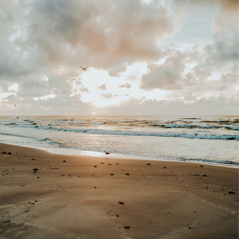 Wander down to Mustang Island's sandy beach, a short distance away