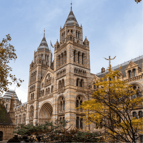 Grab a coffee and stroll to South Kensington to check out the museums