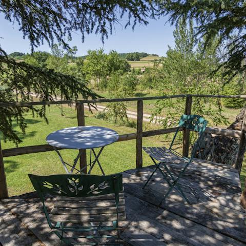 Read a book while suspended in the trees