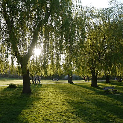 Enjoy a refreshing stroll through nearby Hampstead Heath