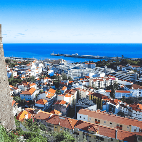 Drive down to Funchal Bay and head out on a boat for dolphin and whale watching