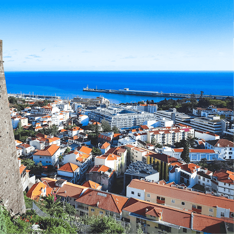 Drive down to Funchal Bay and head out on a boat for dolphin and whale watching