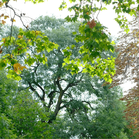 Enjoy a slower city pace with a stay in Mill Hill