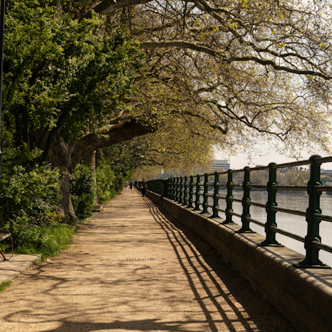 Walk to the Thames for a riverside stroll