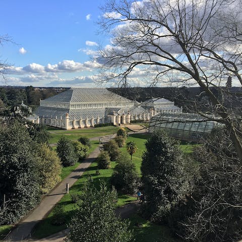 Take a three-minute stroll to the Lion Gate, one of the entrances to Kew Gardens, and take advantage of your free tickets
