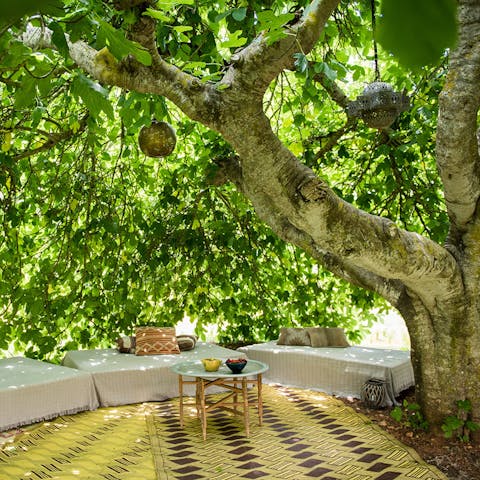 Find a shady spot to relax under the trees