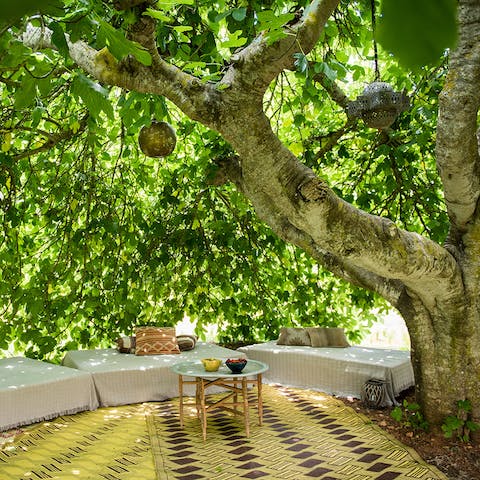 Find a shady spot to relax under the trees