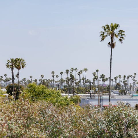 Take in the amazing 360-degree views of the Pacific Ocean and downtown LA