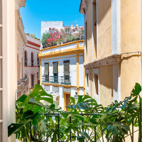 Take in picturesque views of the city's colourful architecture