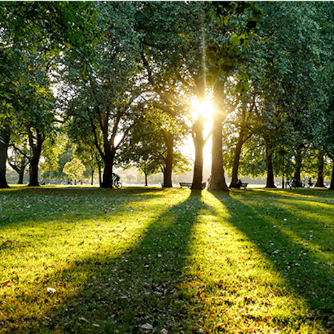 Take a five-minute walk to beautiful Hyde Park