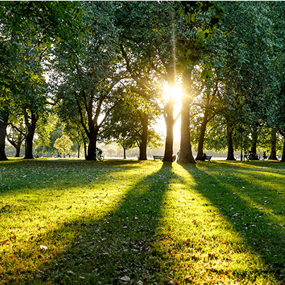 Take a five-minute walk to beautiful Hyde Park