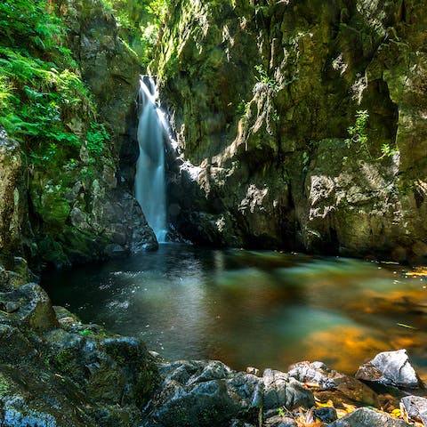 Swim in the waters of a sixty foot waterfall at Stanley Ghyll, a twenty-minute drive away