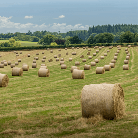 Put on your hiking boots and explore the Dorset countryside