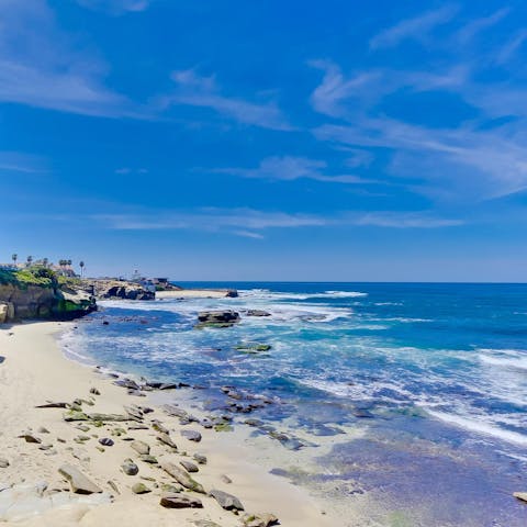 Explore the beautiful La Jolla coast