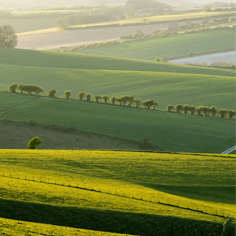 Put on your hiking boots and explore the South Downs National Park
