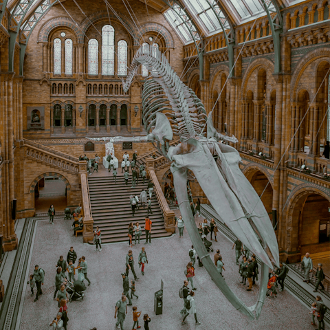 Travel a few stops on the tube to the Natural History Museum
