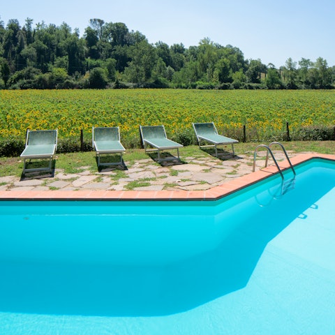 Laze by the pool, admiring the peace and tranquility around you