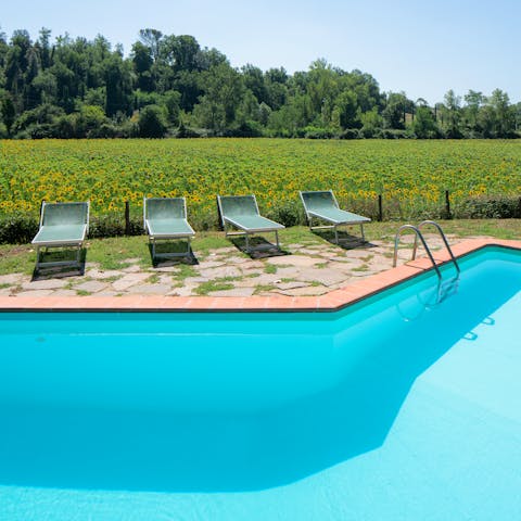 Laze by the pool, admiring the peace and tranquility around you
