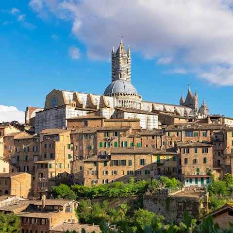 Take a day trip to Siena – it's about thirty minutes away by car