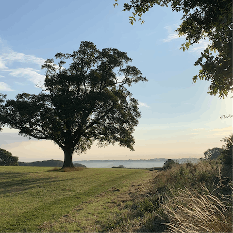 Put on your hiking boots and explore the Shropshire countryside