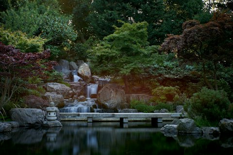 Stroll through Holland Park's peacock-roamed woodland gardens, moments from your door