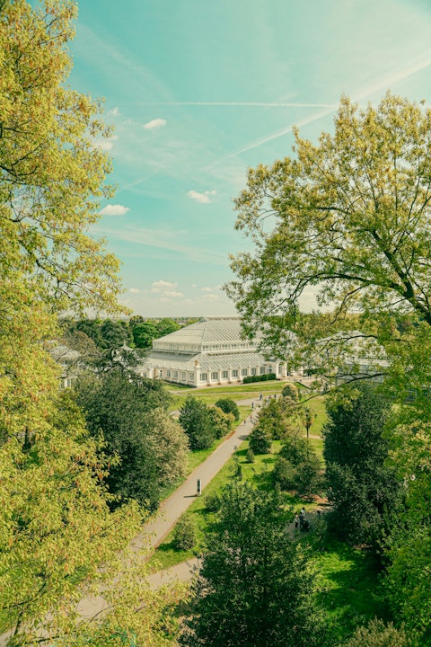Ride the Overground to Kew Gardens, twenty minutes away